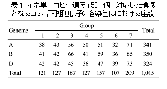 表1  イネ単一コピー遺伝子531個に対応した標識となるコムギ同祖遺伝子の各染色体における座数