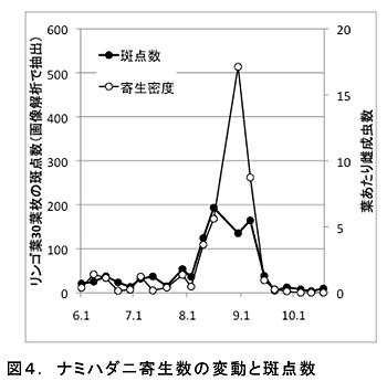 図4 ナミハダニ寄生数の変動と斑点数