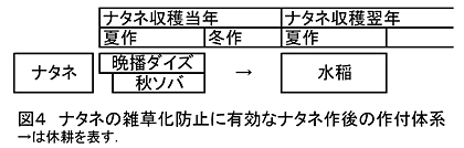 図4 ナタネの雑草化防止に有効なナタネ作後の作付体系→は休耕を表す.