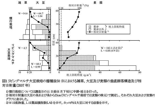 図1 リビングマルチ大豆栽培の播種後50日における雑草,大豆及び麦類の垂直群落構造及び相対日射量(2007年)