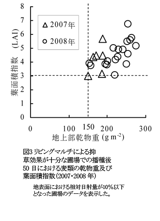 図3 リビングマルチによる抑草効果が十分な圃場での播種後50日における麦類の乾物重及び葉面積指数(2007・2008年)