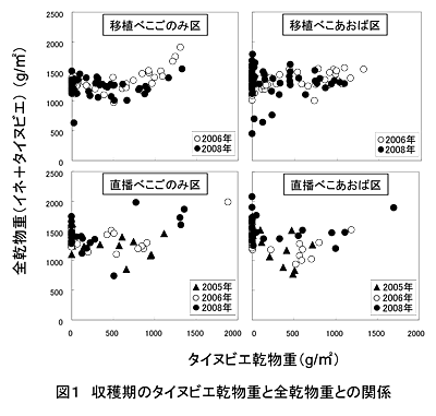 図1 収穫期のタイヌビエ乾物重と全乾物重との関係