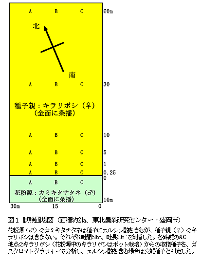 図1 試験圃場図(面積約21a、東北農業研究センター・盛岡市)