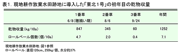 表1.現地耕作放棄水田跡地に導入した「東北1号」の初年目の乾物収量