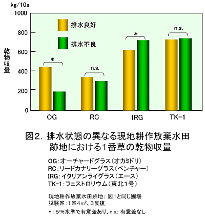 図2.排水状態の異なる現地耕作放棄水田跡地における1番草の乾物収量