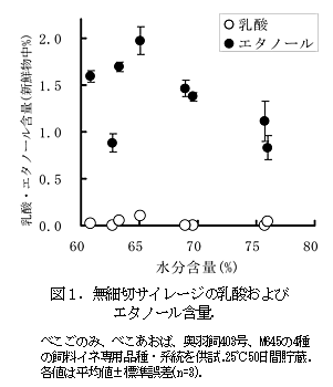 図1.無細切サイレージの乳酸およびエタノール含量.