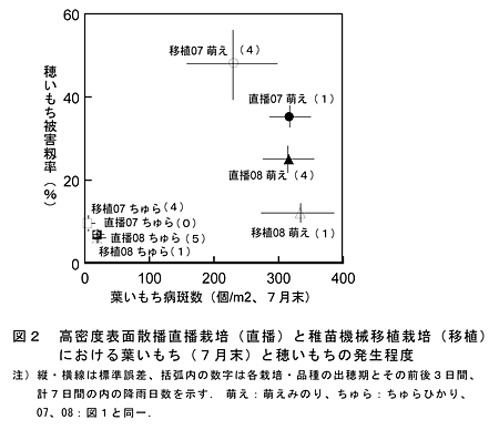 図2  高密度表面散播直播栽培(直播)と稚苗機械移植栽培(移植)における葉いもち(7月末)と穂いもちの発生程度