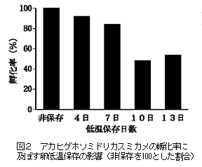 図2 アカヒゲホソミドリカスミカメの孵化率に及ぼす卵低温保存の影響(非保存を100とした割合)