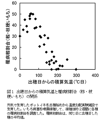 図1 出穂日からの積算気温と罹病籾割合(籾・枝梗いもち)の関係