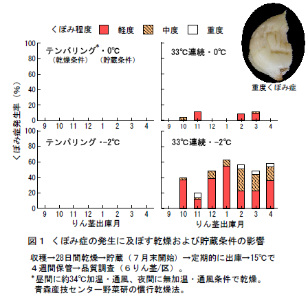 図1 くぼみ症の発生に及ぼす乾燥および貯蔵条件の影響