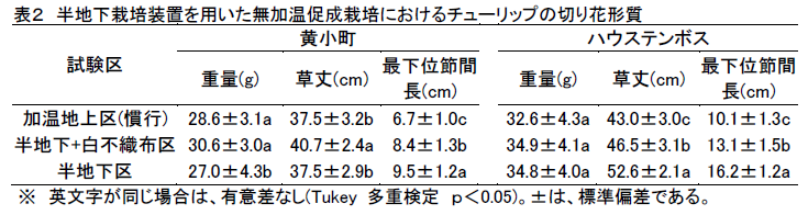 表2 半地下栽培装置を用いた無加温促成栽培におけるチューリップの切り花形質