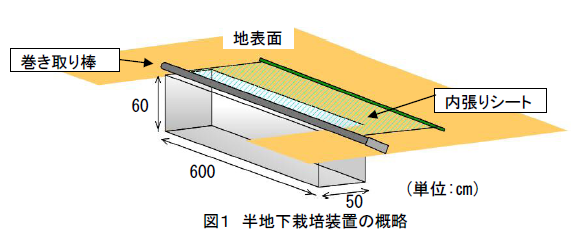 図1 半地下栽培装置の概略