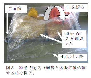 図3 種子5kg 入り網袋を休眠打破処理3 反復で実施。バーは標準誤差。 する時の様子。