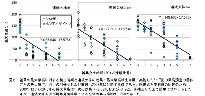 図2 雑草の最大草高にたいする発生時期と連続欠株の効果