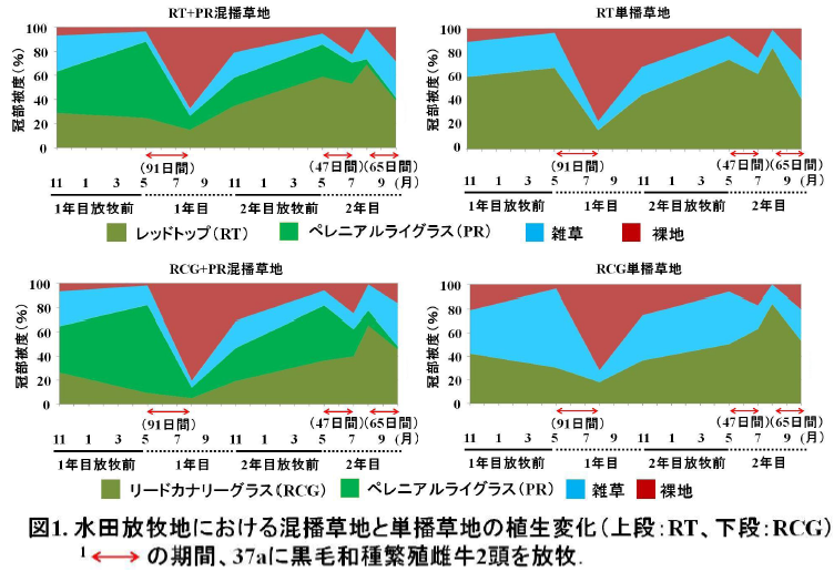 図1 水田放牧地における混播草地と単播草地の植生変化