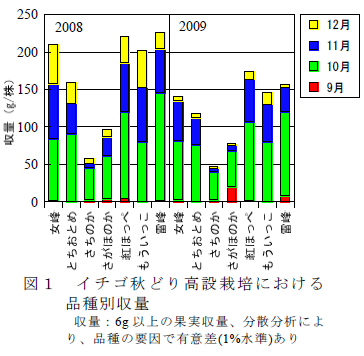 図1 イチゴ秋どり高設栽培における 品種別収量