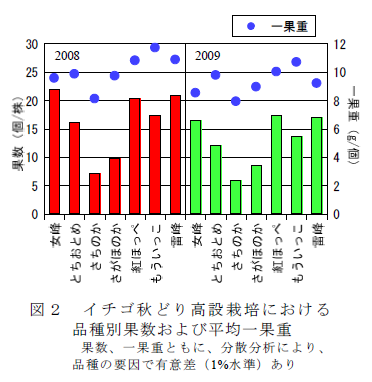 図2 イチゴ秋どり高設栽培における 品種別果数および平均一果重