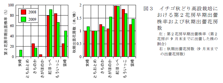 図3 イチゴ秋どり高設栽培に おける第2花房早期出蕾 株率および秋期出蕾花房 数