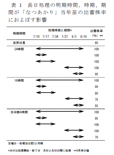 表1 長日処理の明期時間、時期、期 間が「なつあかり」当年苗の出蕾株率 におよぼす影響