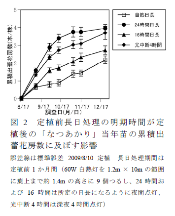 図2 定植前長日処理の明期時間が定 植後の「なつあかり」当年苗の累積出 蕾花房数に及ぼす影響