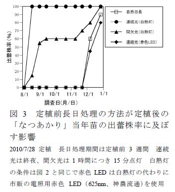 図3 定植前長日処理の方法が定植後の 「なつあかり」当年苗の出蕾株率に及ぼ す影響