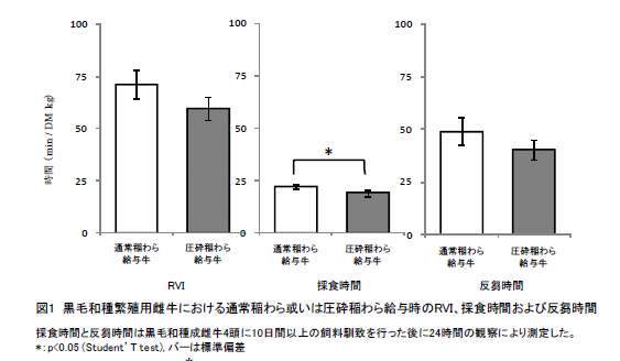 図1 黒毛和種繁殖用雌牛における通常稲わら或いは圧砕稲わら給与時のRVI、採食時間および反芻時間