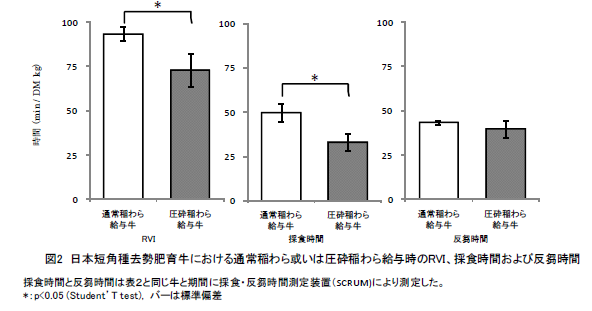 図2 日本短角種去勢肥育牛における通常稲わら或いは圧砕稲わら給与時のRVI、採食時間および反芻時間