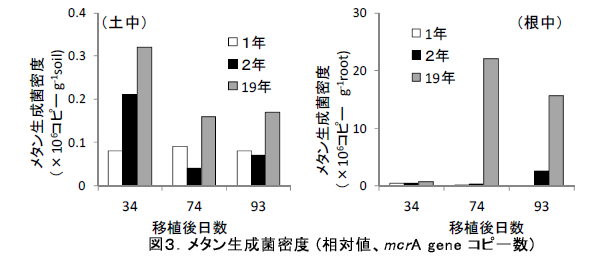図3.メタン生成菌密度 (相対値、mcr A gene コピー数)