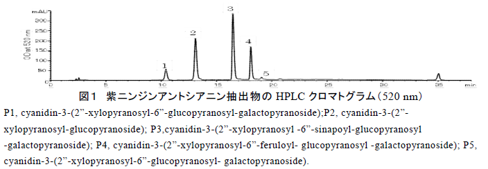 図1 紫ニンジンアントシアニン抽出物のHPLC クロマトグラム(520 nm)