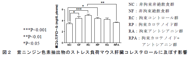図2 紫ニンジン色素抽出物のストレス負荷マウス肝臓コレステロールに及ぼす影響