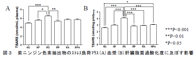 図3 紫ニンジン色素抽出物のストレス負荷マウス(A)血漿(B)肝臓脂質過酸化度に及ぼす影響