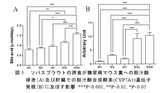 図1 ソバスプラウトの摂食が糖尿病マウス糞への胆汁酸 排泄(A)及び肝臓での胆汁酸合成酵素(CYP7A1)遺伝子 発現(B)に及ぼす影響 ***P<0.001, **P<0.01, *P<0.05