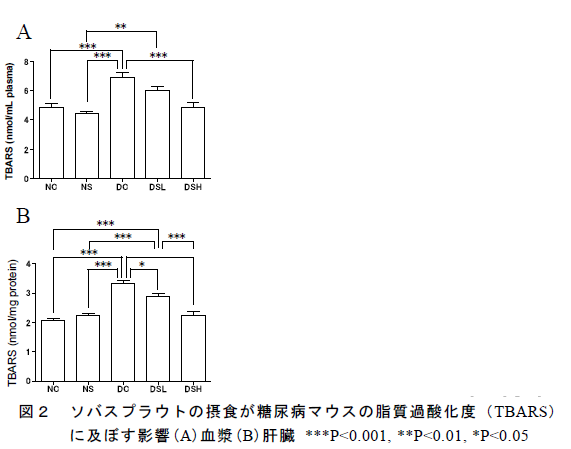 図2 ソバスプラウトの摂食が糖尿病マウスの脂質過酸化度(TBARS) に及ぼす影響(A)血漿(B)肝臓 ***P<0.001, **P<0.01, *P<0.05