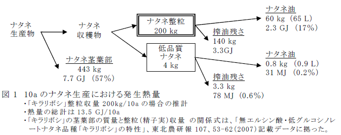 図1 10a のナタネ生産における発生熱量