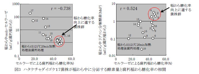 図3 ハタケチャダイゴケ17菌株が稲わら中に分泌する酵素量と腐朽稲わら糖化率の相関