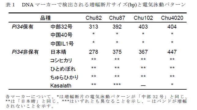 表1 DNA マーカーで検出される増幅断片サイズ(bp)と電気泳動パターン