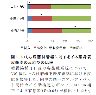 図1 いもち病菌付着器に対するイネ葉身表 皮細胞の反応型の比率
