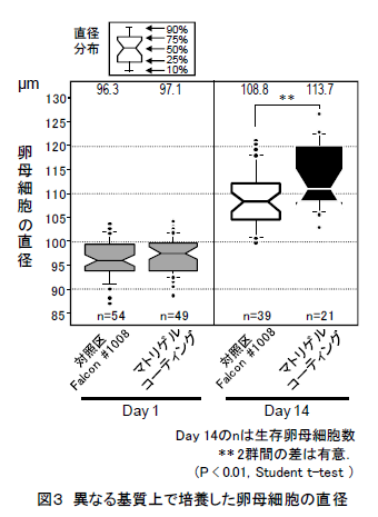 図3 異なる基質上で培養した卵母細胞の直径