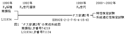 図1 'ナス安濃2号'の育成系統図