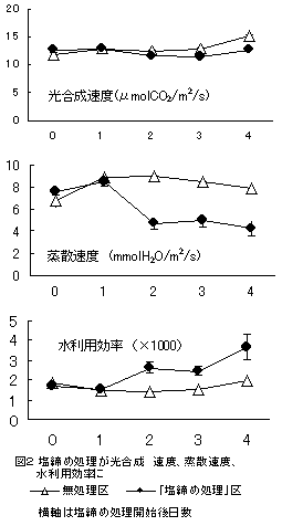 図2 塩締め処理が光合成 速度、蒸散速度、水利用効率に及ぼす影響