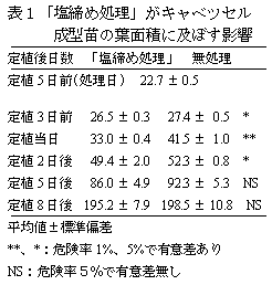 表1「塩締め処理」がキャベツセル 成型苗の葉面積に及ぼす影響