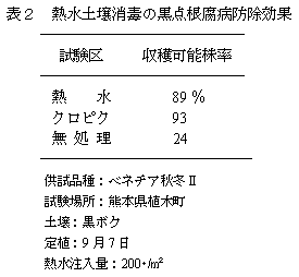 表2 熱水土壌消毒の黒点根腐病防除効果