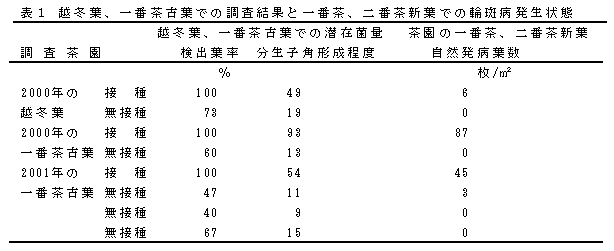 表1 越冬葉、一番茶古葉での調査結果と一番茶、二番茶新葉での輪斑病発生状態