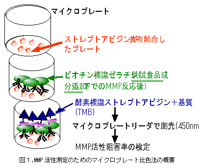 図1.MMP 活性測定のためのマイクロプレート比色法の概要