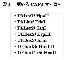 表1 用いるCAPS マーカー