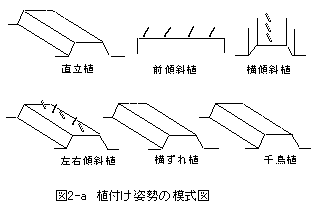 図2-a 植付け姿勢の模式図