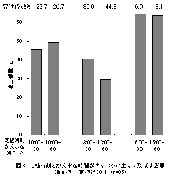 図3 定植時刻とかん水迄時間がキャベツの生育に及ぼす影響 晩夏植