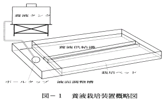 図1.養液栽培装置概略図