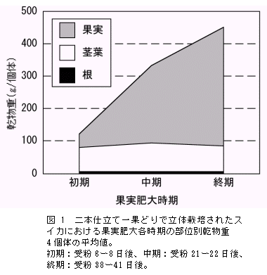 図1 二本仕立て一果どりで立体栽培されたス イカにおける果実肥大各時期の部位別乾物重