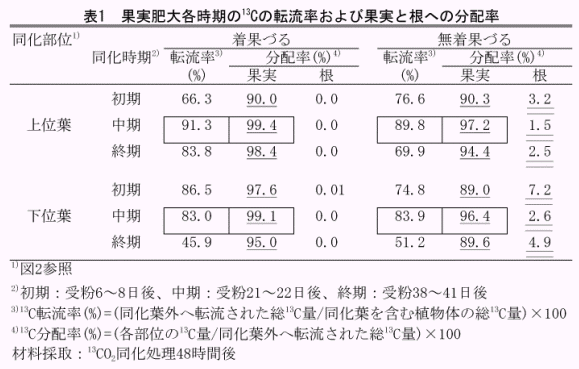 表1.果実肥大各時期の13Cの転流率および果実と根への分配率